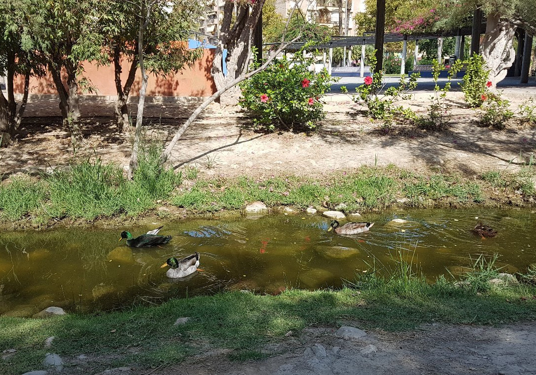 Jardin de La Seda-穆尔西亚必去景点