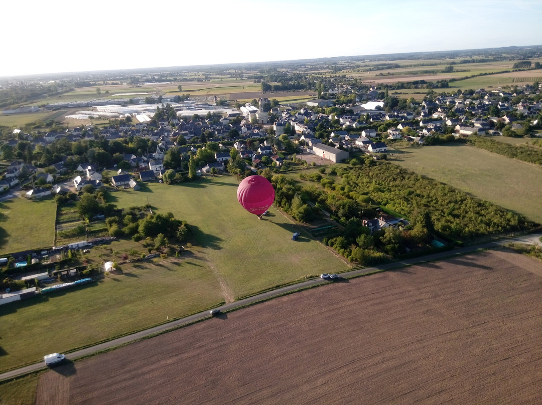 Montgolfieres D'anjou景点图片