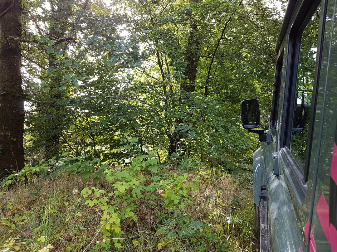 Wood Park Off-Road景点图片
