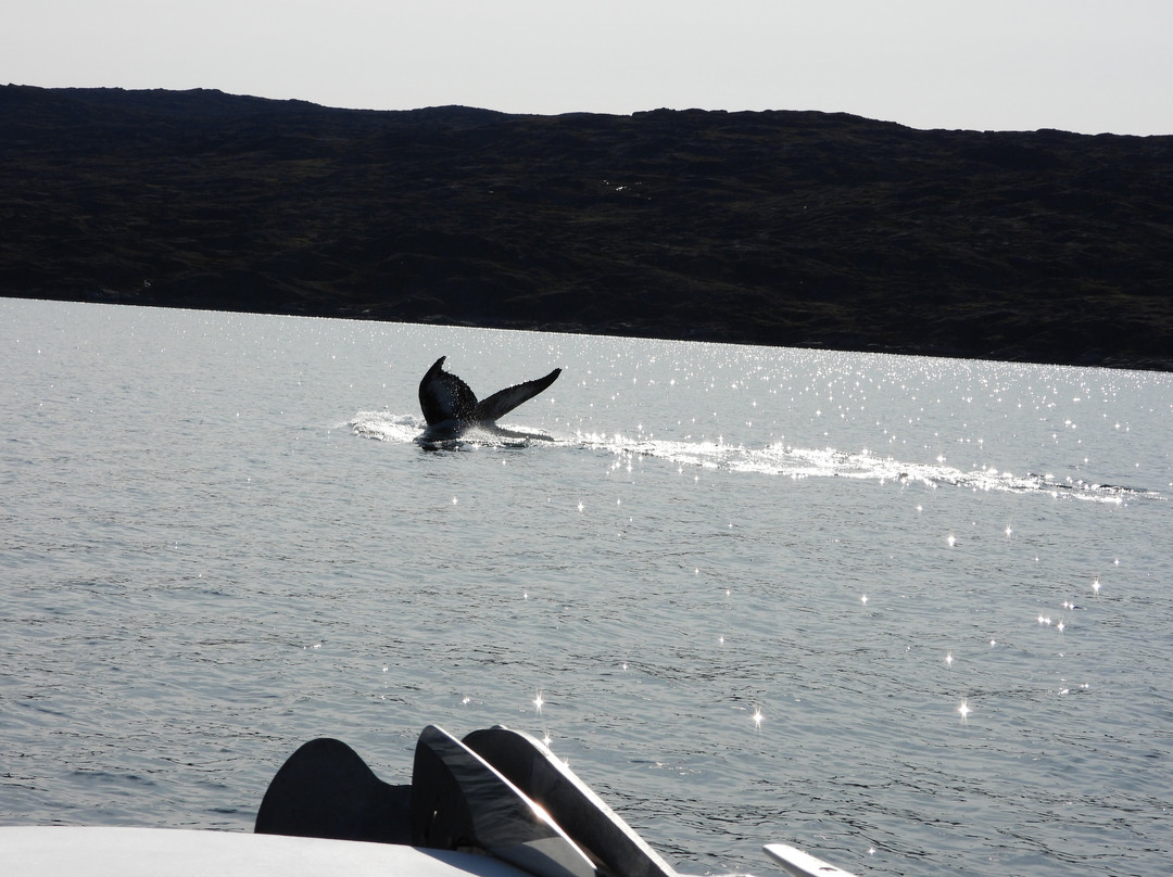 Sirius Greenland-Sisimiut必去景点