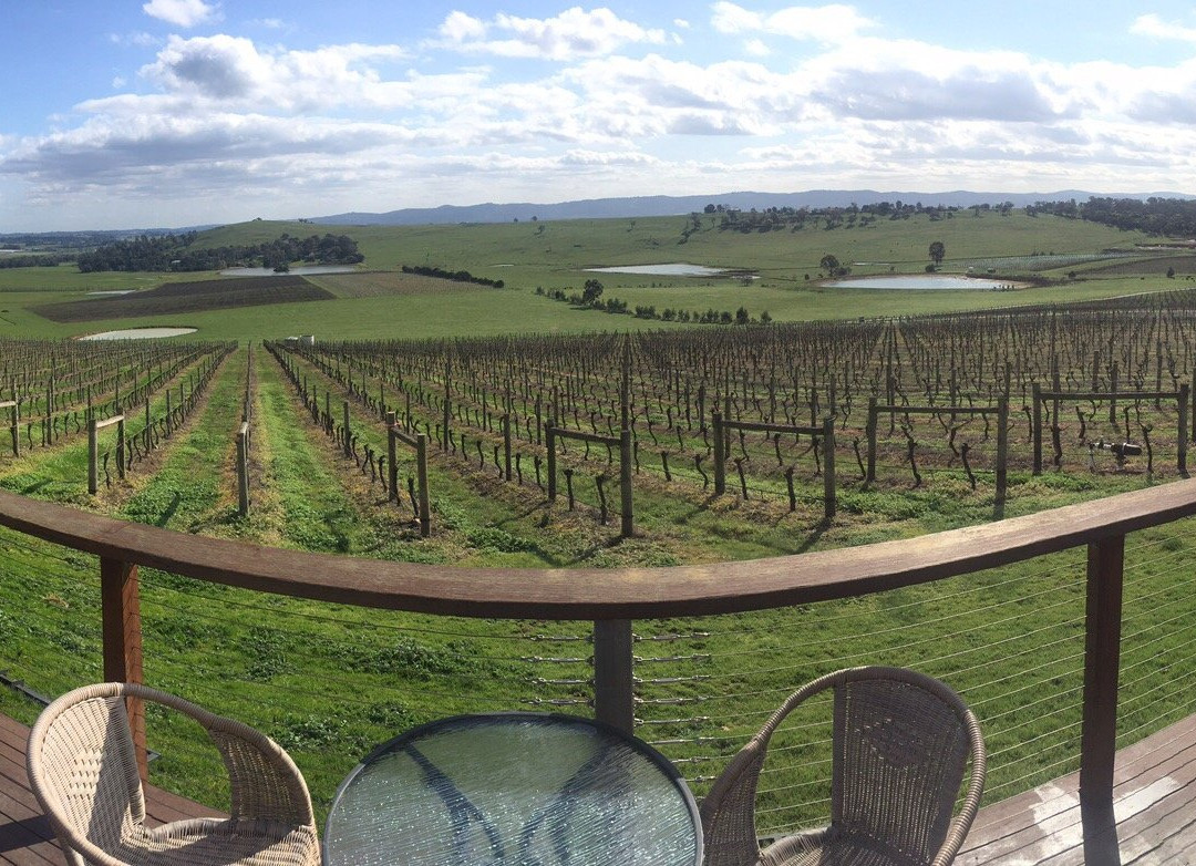 Yarra Valley Winery Tours-Lilydale必去景点