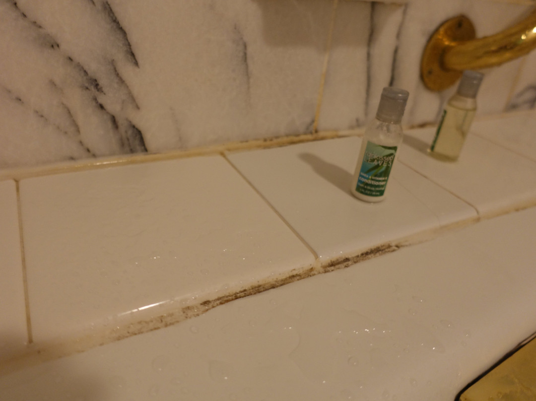 Flying Saddle Resort主图