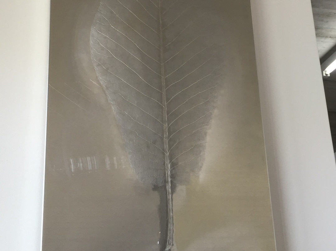 Museum für Aktuelle Kunst - Sammlung Hurrle Durbach景点图片