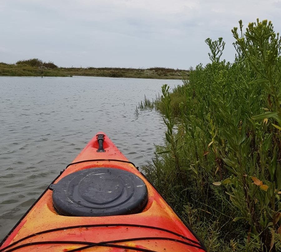 Kayak et Nature景点图片