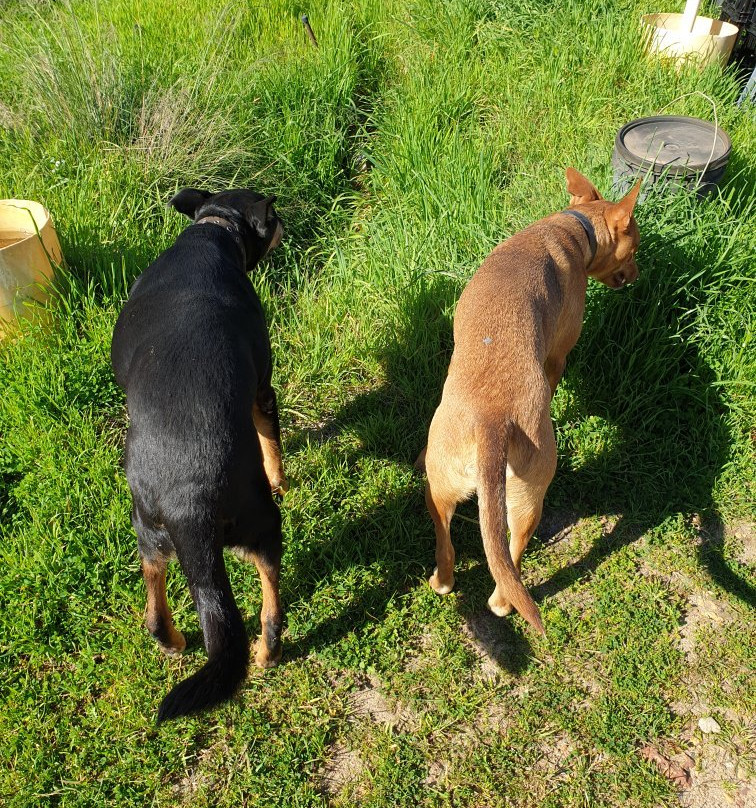 Kellers Bed & Breakfast主图