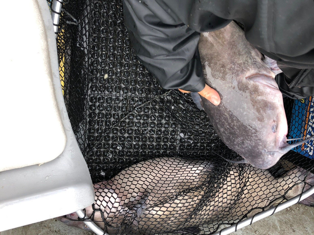 Cat Eye Manitoba Fishing-Selkirk必去景点