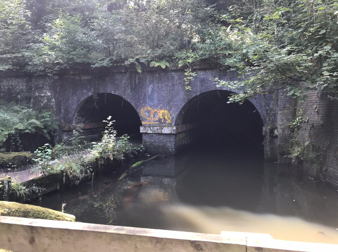 Brotherton Nature Park-Bromborough必去景点