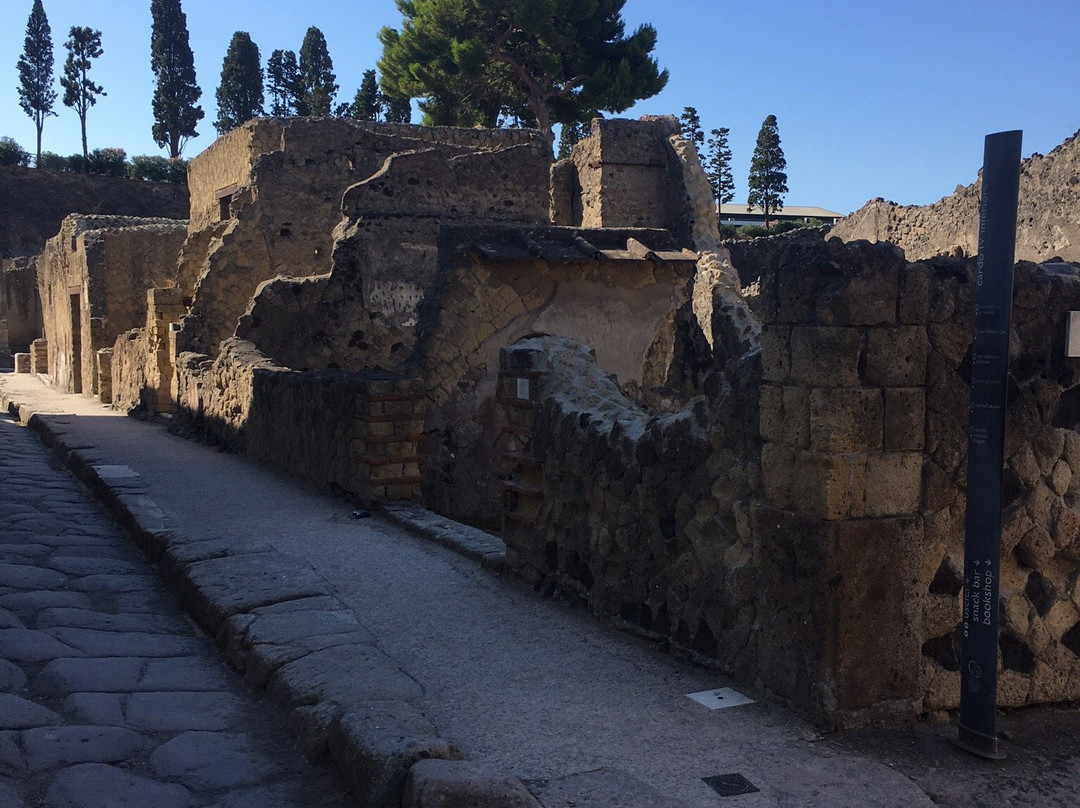 Pompei & Herculaneum Express Tours & Guides-索伦托必去景点