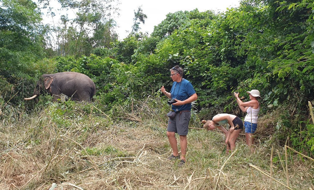 Sonchana Farm and Elephant Sanctuary-素叻他尼必去景点