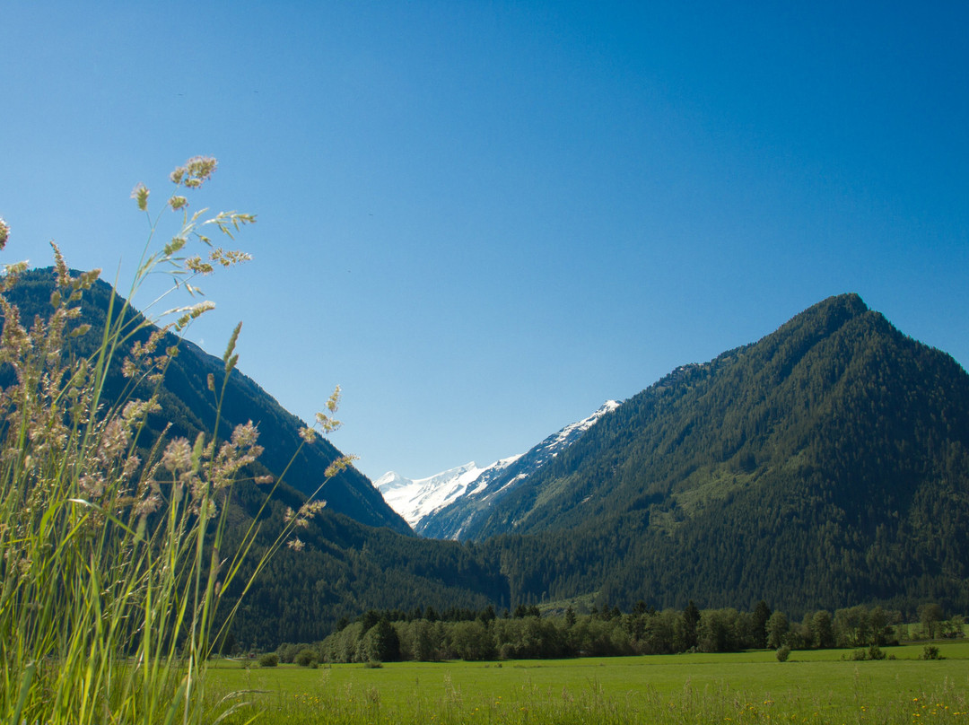 Gasthof Venedigerblick主图