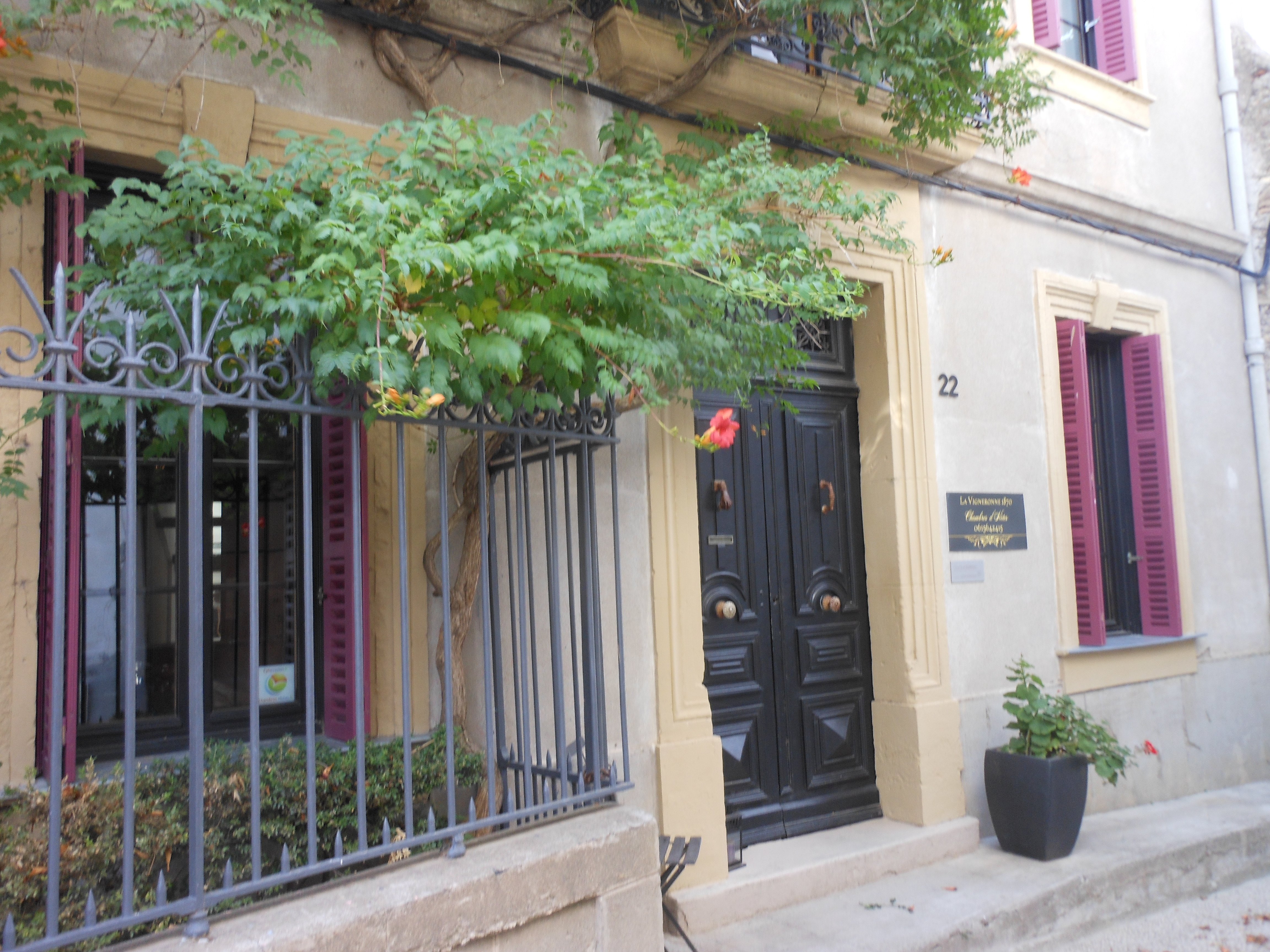 La vigneronne 1870-官方