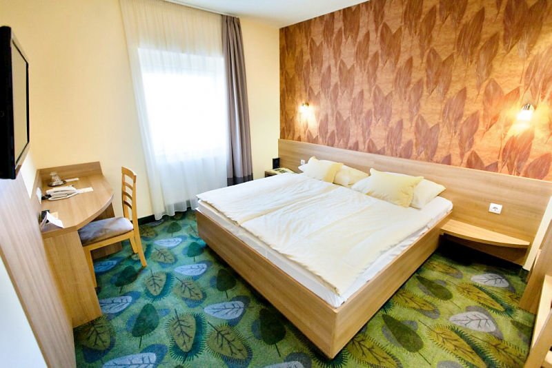 Wellnesshotel Aranyhomok-官方