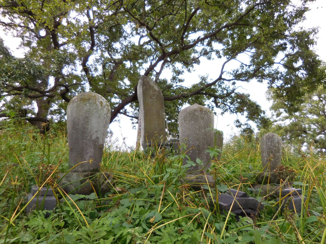 Watarase Yusuichi-野木町必去景点