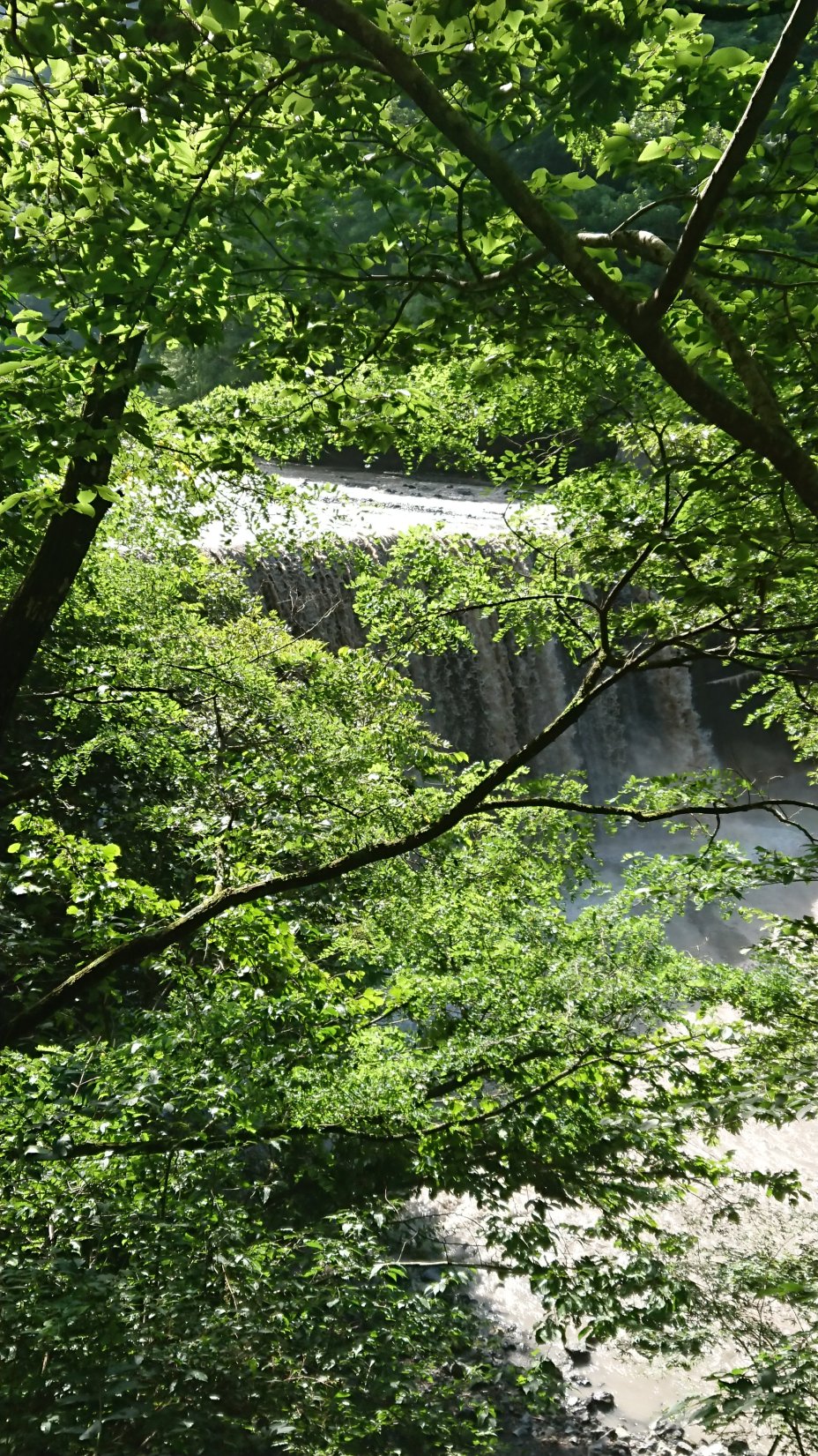 心境平和与爱犬同住的温泉旅馆 桃之木温泉三和庄-portrait