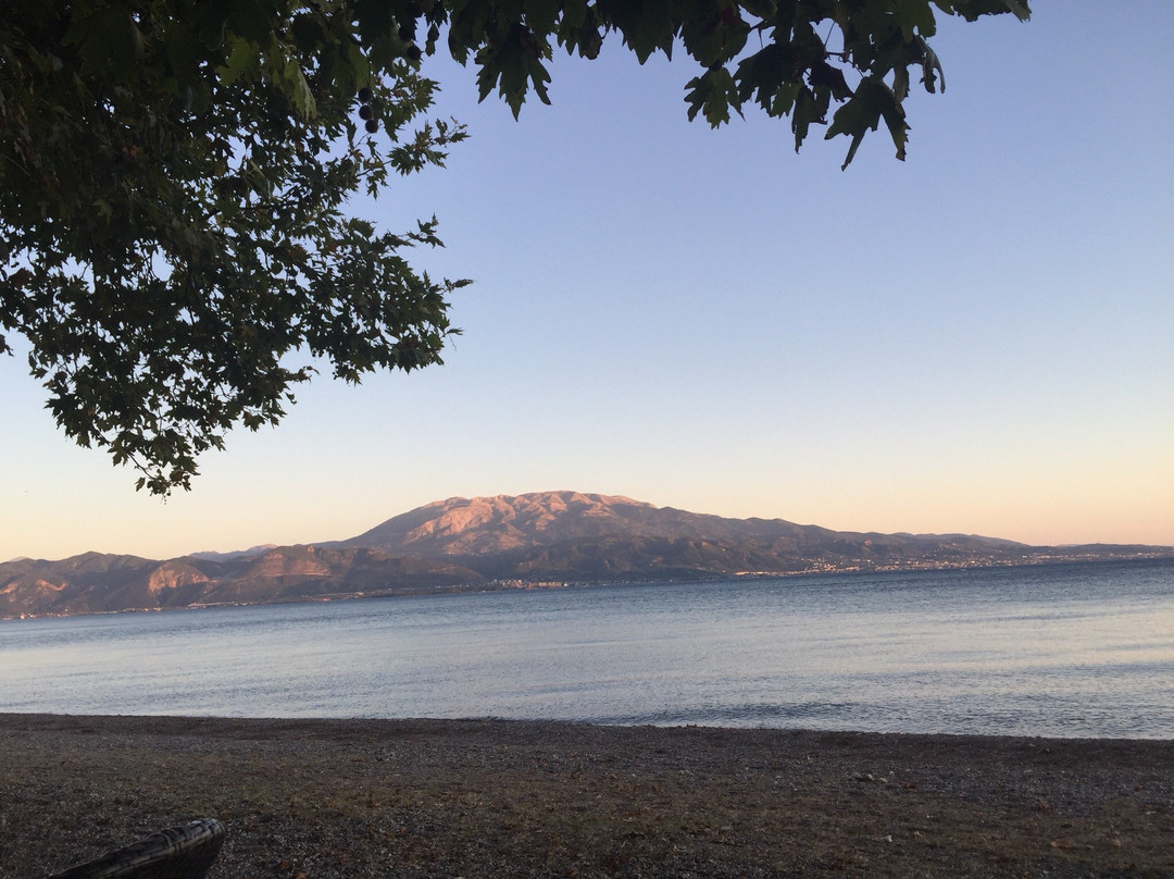 Hotel Aphrodite主图