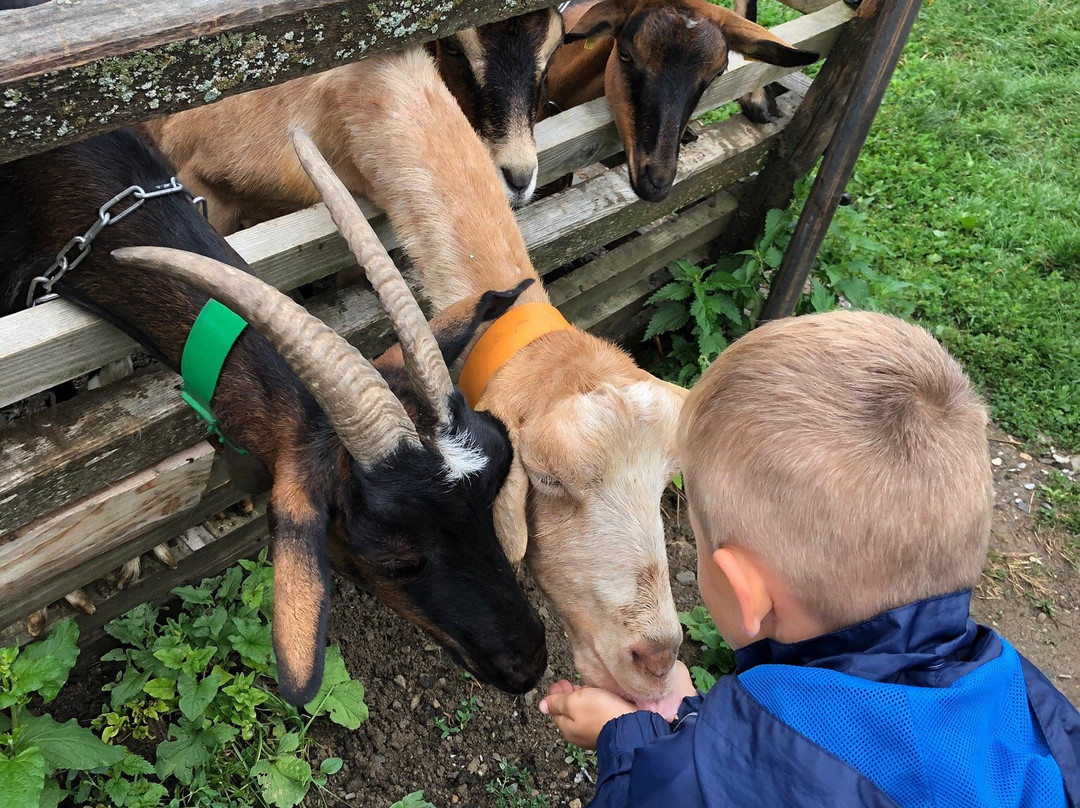 La Ferme du Cugnon-Hauteluce必去景点