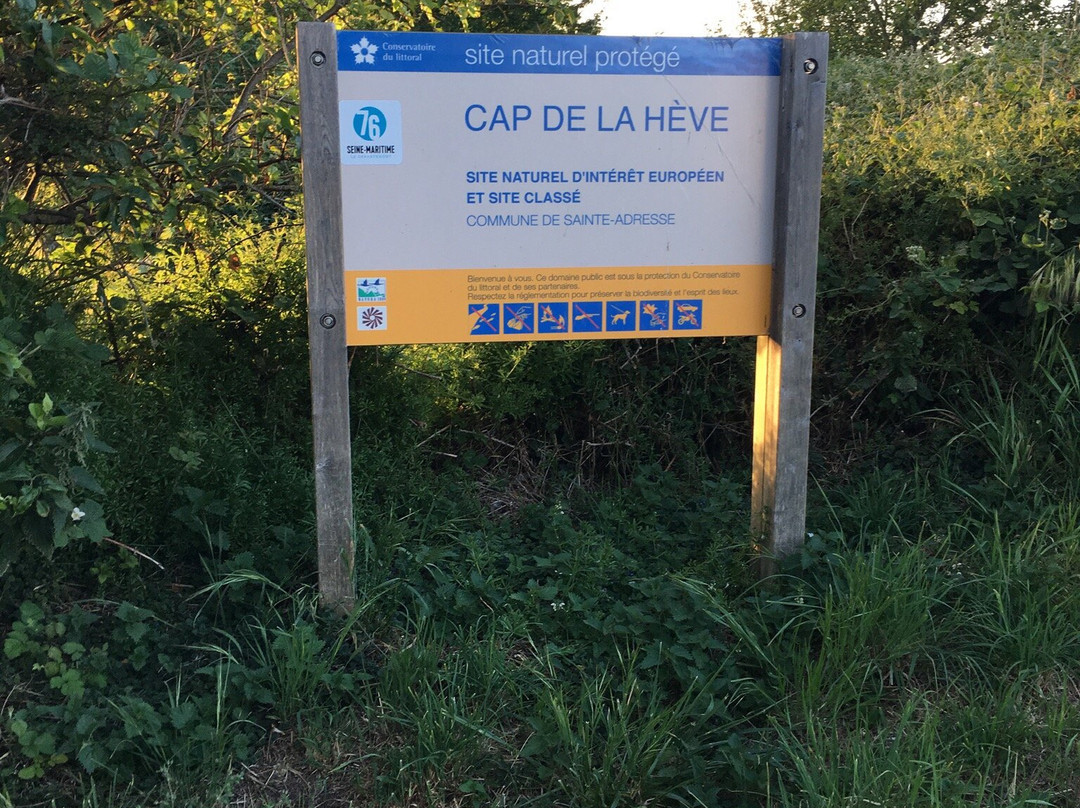 Cap de la Heve-勒阿弗尔必去景点