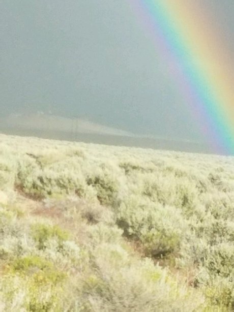 卡森谷汽车旅馆及套房-官方