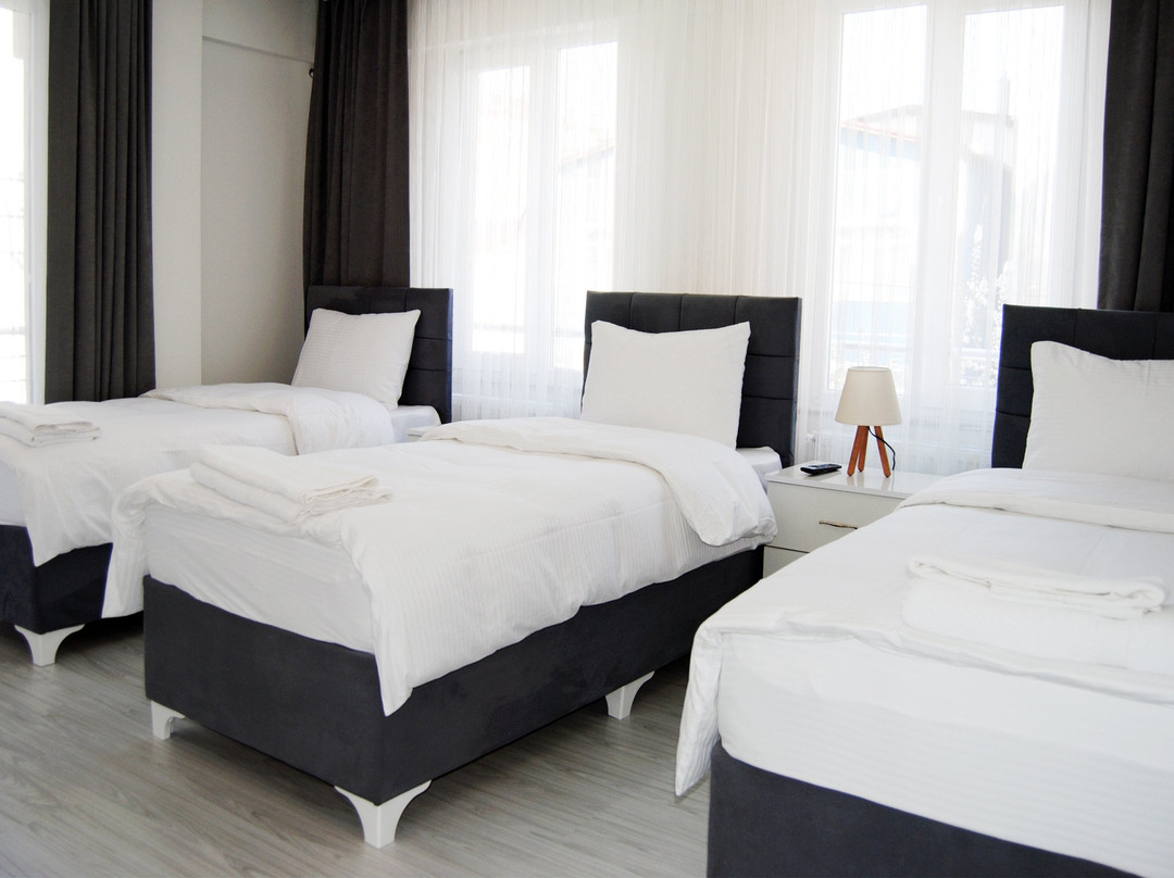 Demeter Butik Hotel主图