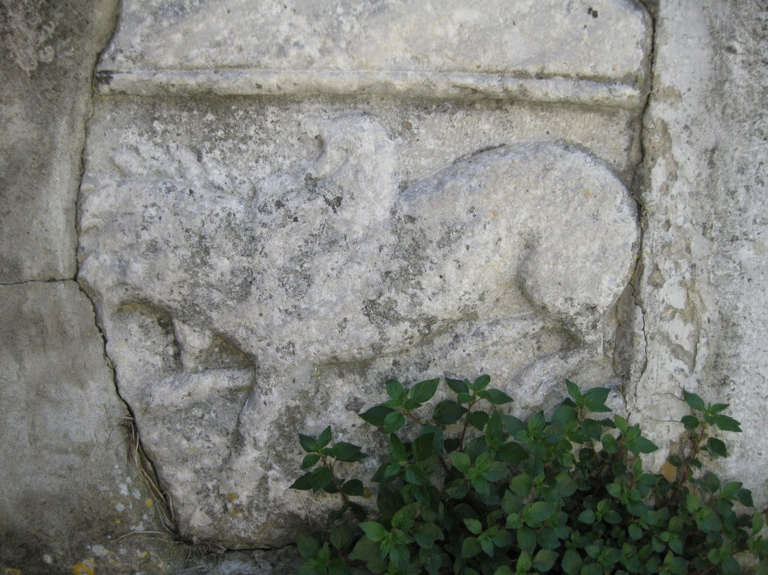 Bassorilievo Lapideo del Delfino di Cavenzano景点图片