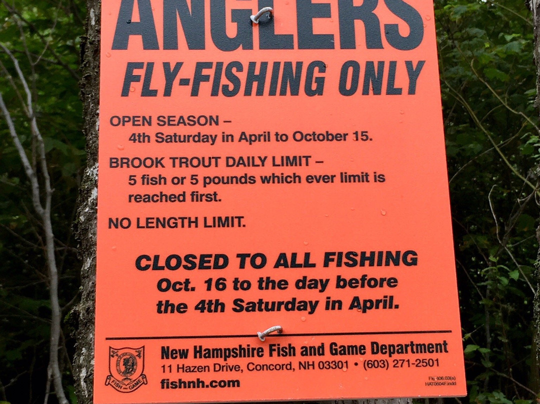 Profile Lake-弗朗科尼亚必去景点