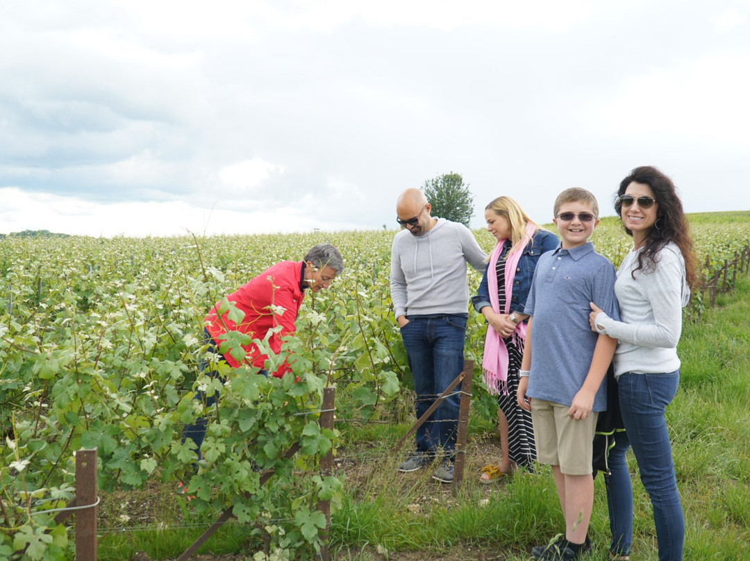 The Champagne Tour Co.-兰斯必去景点