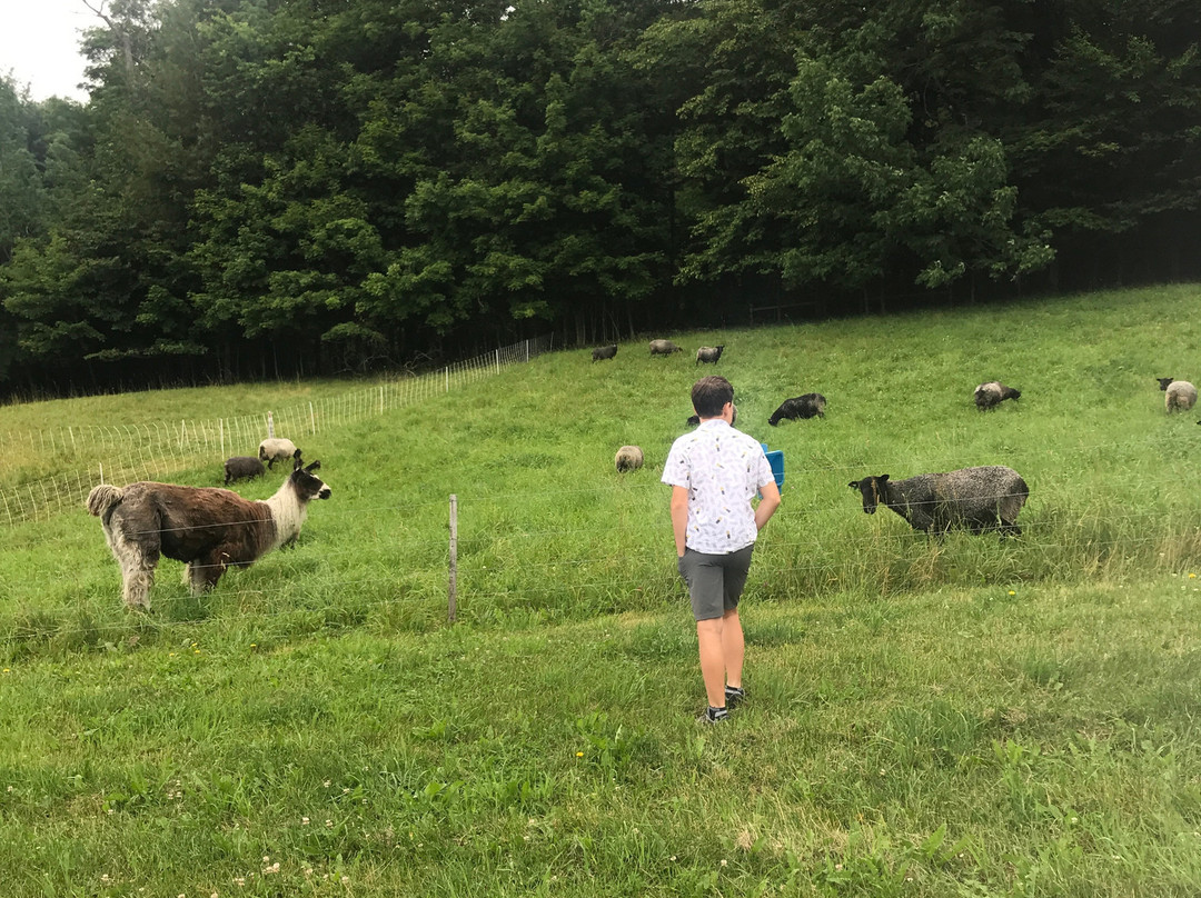 Washington旅游攻略图片