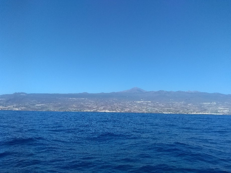 Tenerife-Direct-奥德杰海岸必去景点