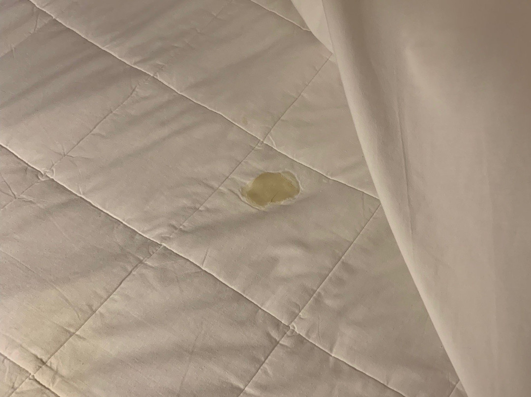 Texas Inn & Suites主图