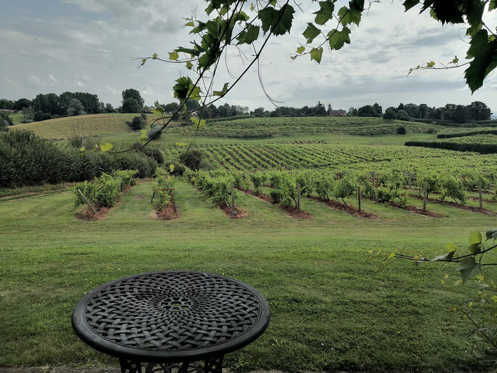 Three Choirs Vineyard-Newent必去景点