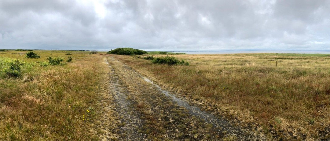 Tipperne Bird Sanctuary-灵克宾必去景点