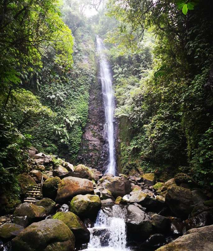 Bogor Halimun National Park Tour景点图片