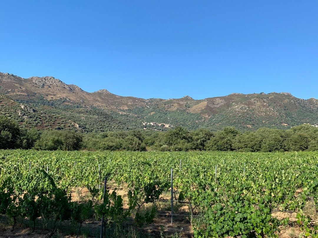 Domaine d'Alzipratu-Zilia必去景点