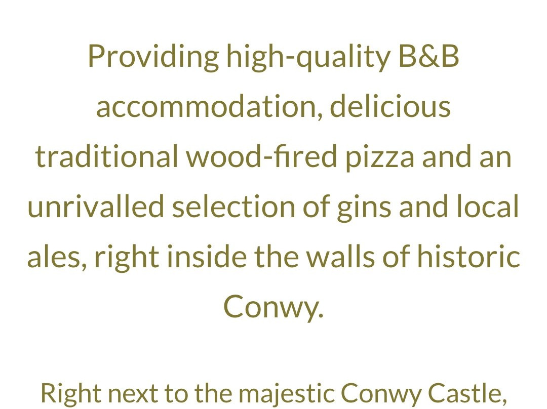 Bridge Inn Conwy主图