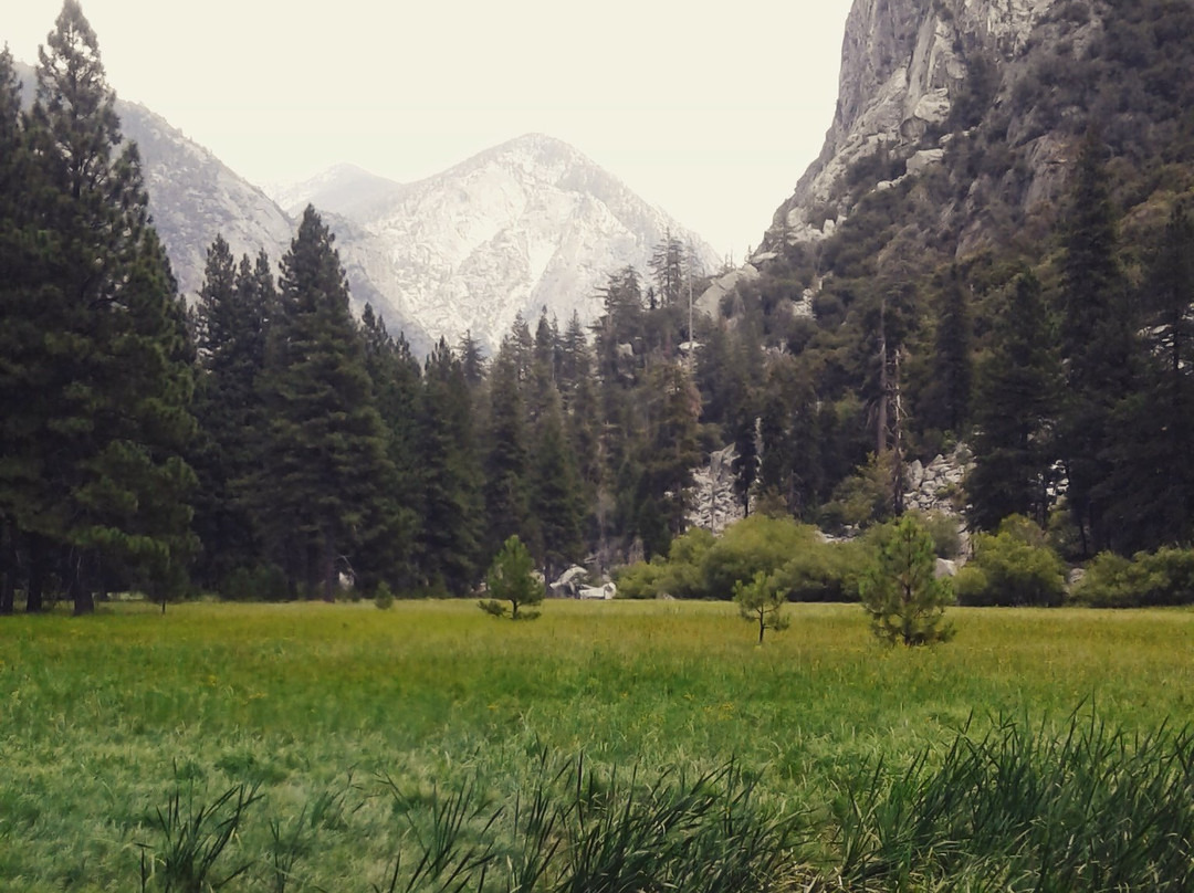 Zumwalt Meadow Trail-红杉&国王峡谷国家公园必去景点