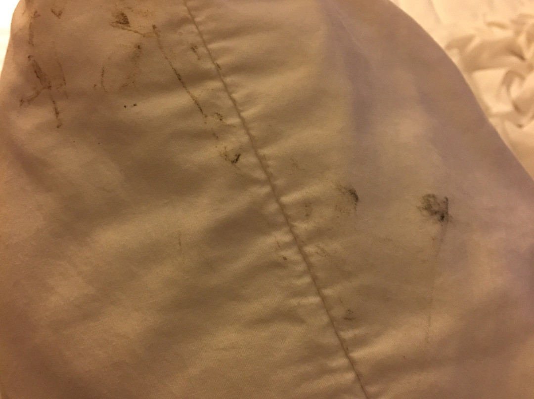 Econo Lodge Inn & Suites