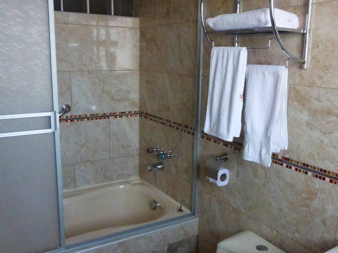 Sol Plaza Hotel Puno主图