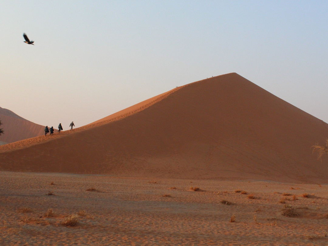 Dune 45景点图片
