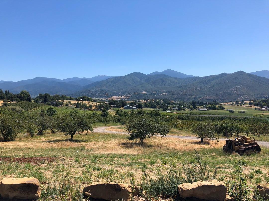 Long Walk Vineyard-阿什兰必去景点