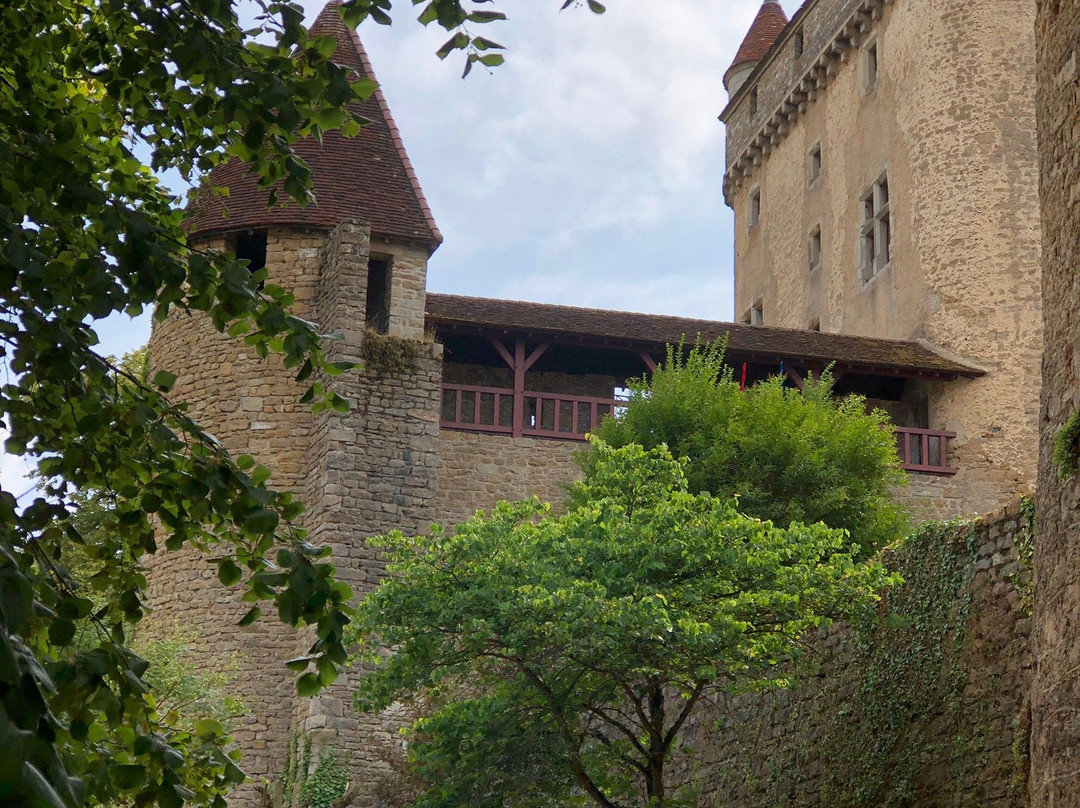 Château du Pin景点图片