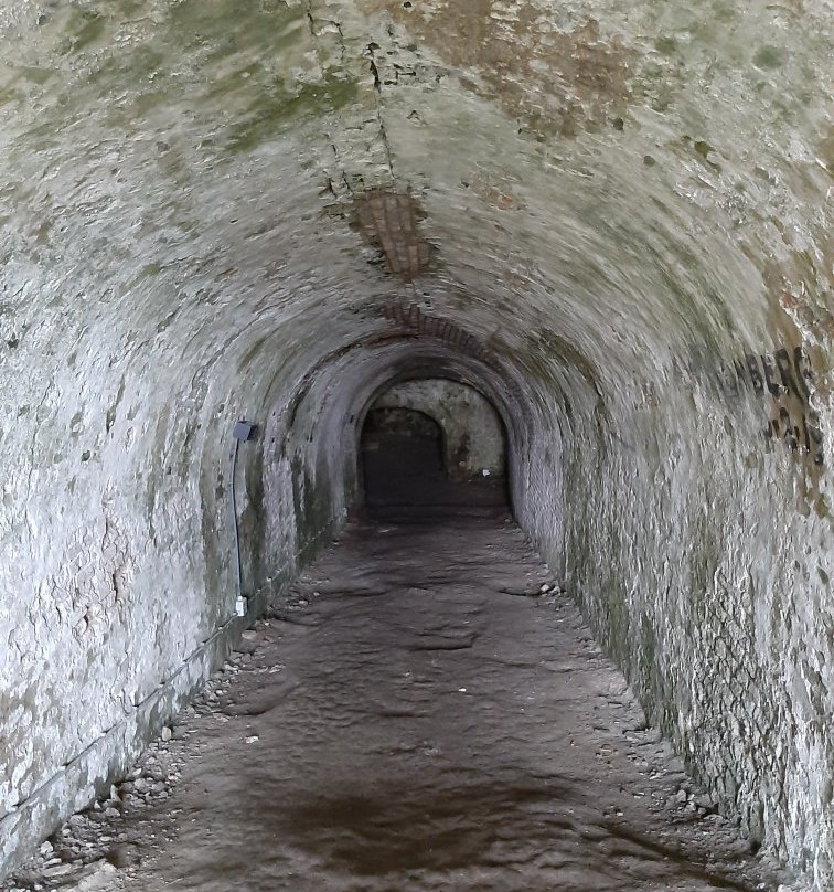 Fort Rammekens-Ritthem必去景点