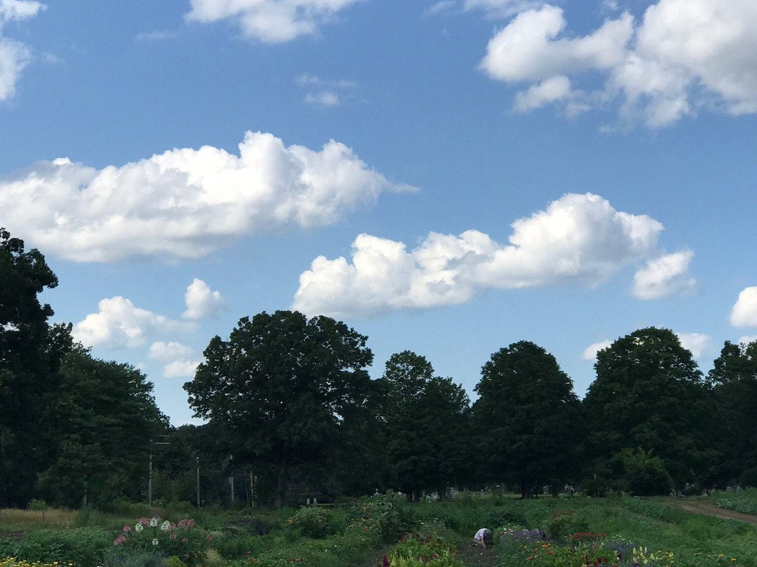 Indian Head Farm景点图片