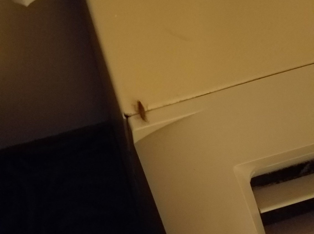 贝斯特韦斯特海道酒店主图