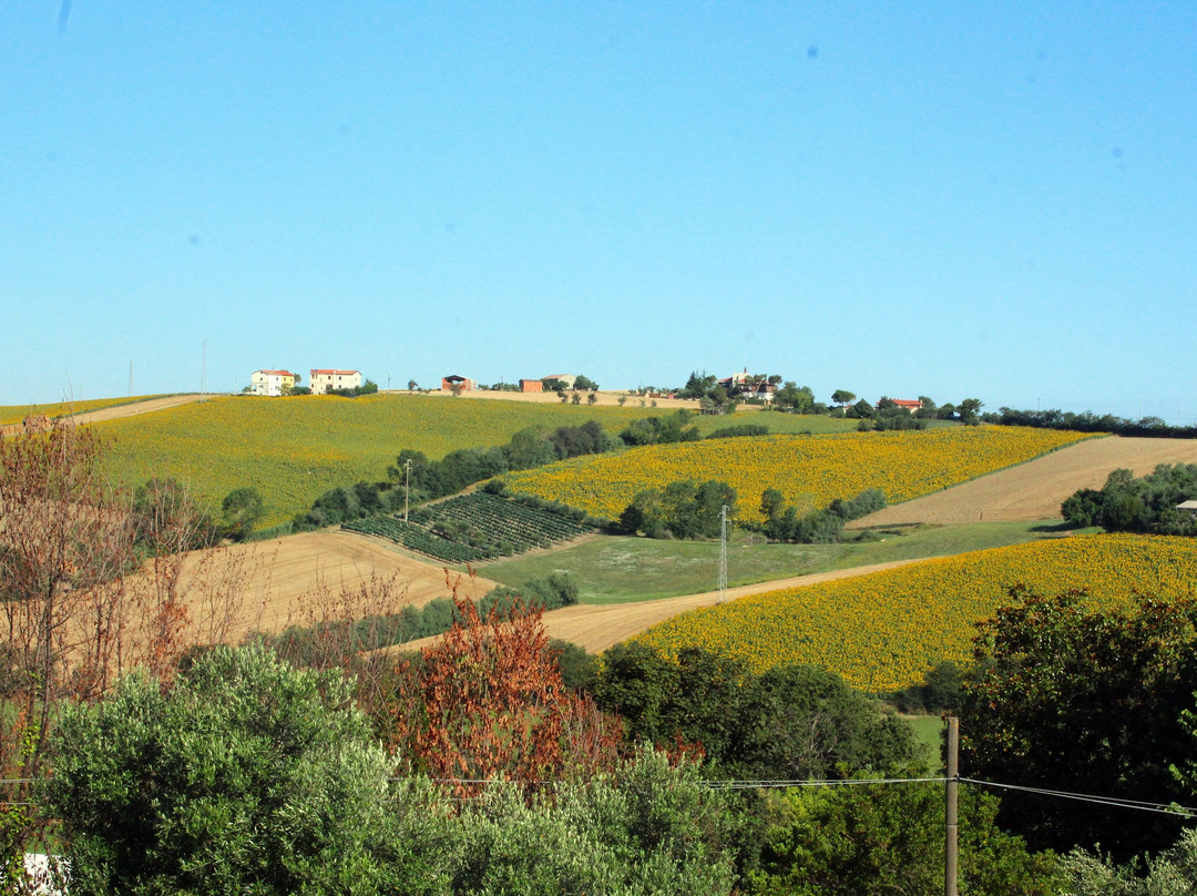 A3Passi Agriturismo tra gli Ulivi主图