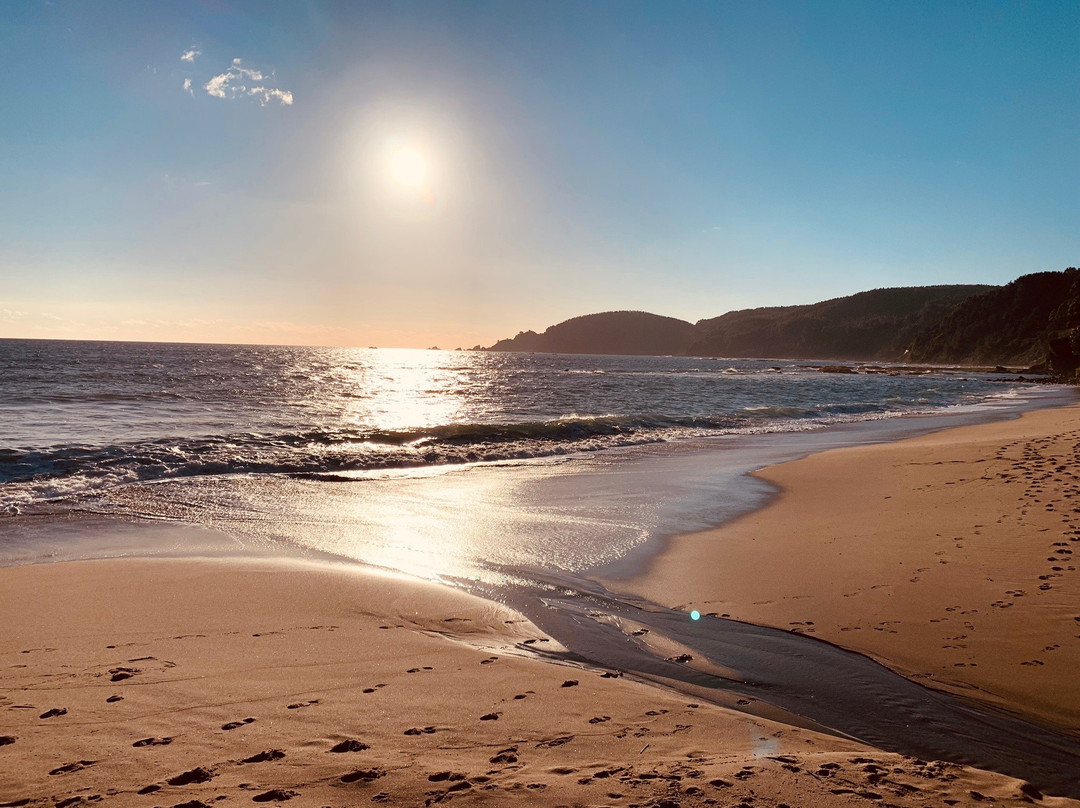Playa de Cocholgue-Tome必去景点