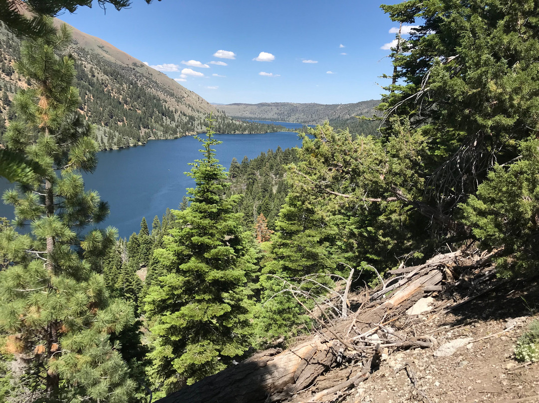 Horsetail Falls Trail景点图片