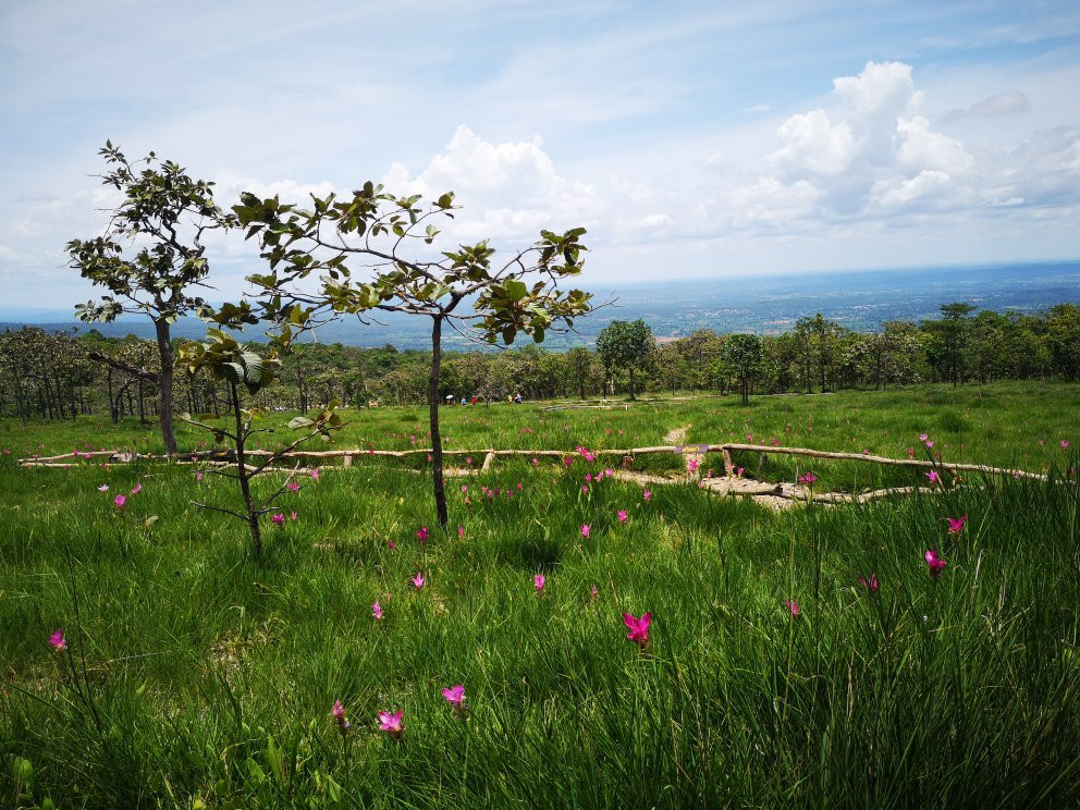 Sai Thong National Park景点图片