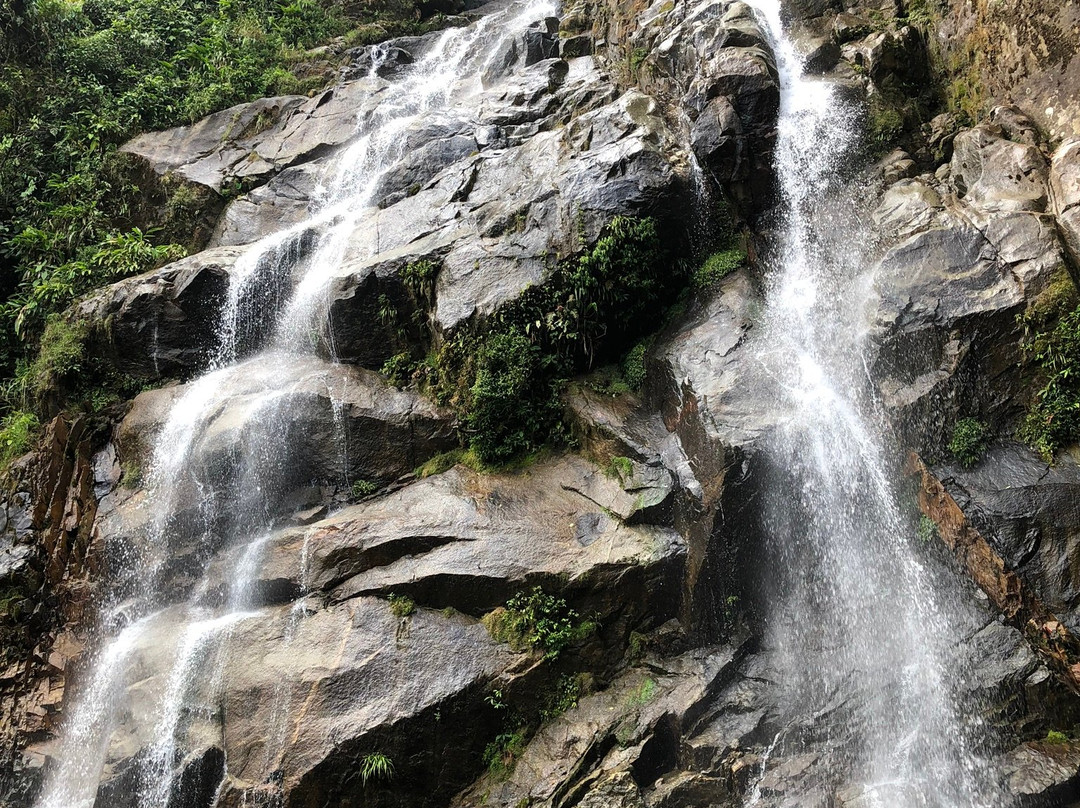 Manantiales del Campo主图