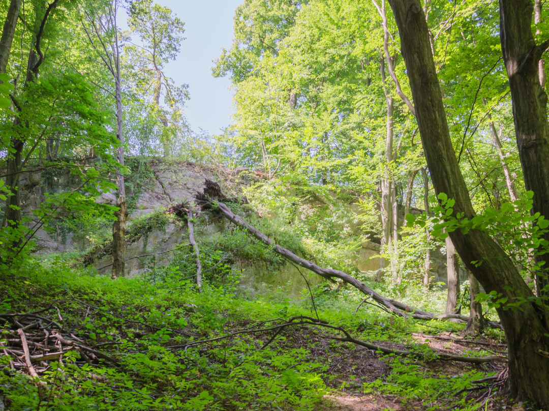 Czułow旅游攻略图片