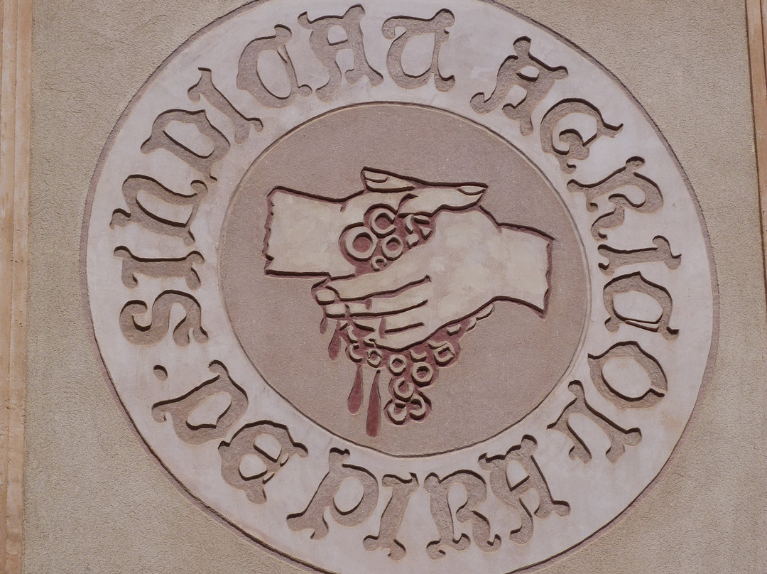 Celler Sindicat Agricola-Pira必去景点